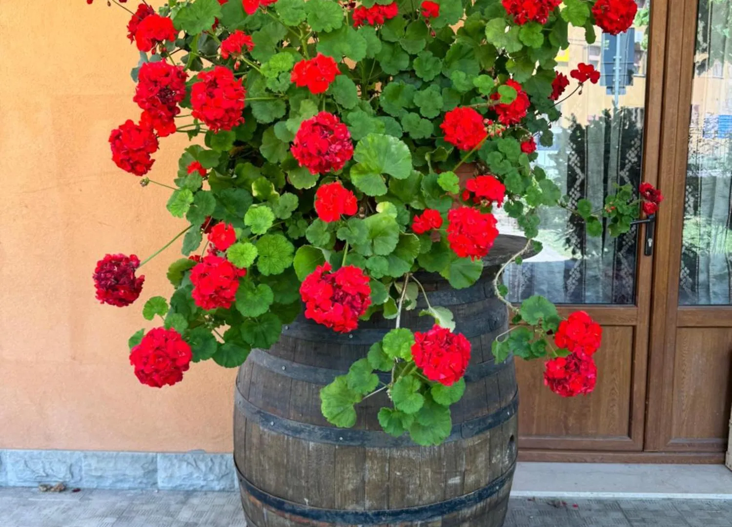 B&B Romani Madonna di Fornelli 0*,  Italy